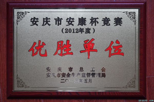 樅陽海螺榮獲市“安康杯”競賽優(yōu)勝單位