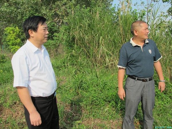 羅成圣調(diào)研縣城飲用水水源地保護(hù)和污水處理工作