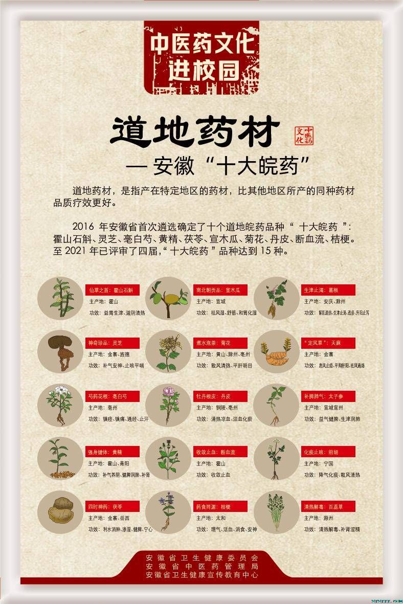 道地藥材——安徽“十大皖藥”